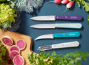 Opinel 4pc Kitchen Knife Set