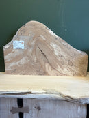 Spalted Beech (W) 250mm x (D) 50mm x (L) 0.49m
