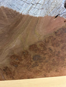 Elm Burr (W) 180mm x (D) 90mm x (L) 0.5m