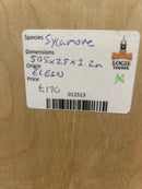 Sycamore (W)505mm x (D)29mm x (L)1.2m