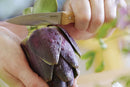 Opinel No. 126 Paring Knife