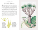 Little Book Of Trees