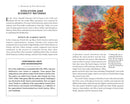 Little Book Of Trees