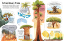 See Inside Trees - Children's lift flap Book