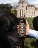 Ballindalloch Aberdeen Angus 150th Anniversary Release