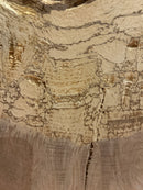 Oak (W)505x(D)50x(L)1m