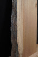 Elm (W) 155mm x (D) 40mm x (L) 1.48m