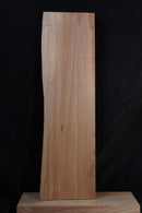 Elm (W) 205mm x (D) 39mm x (L) 0.72m