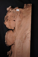 Elm Burr (W) 680mm x (D) 70mm x (L) 1.56m