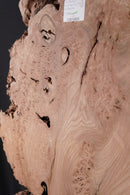 Elm Burr (W) 680mm x (D) 70mm x (L) 1.56m