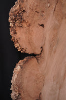 Elm Burr (W) 680mm x (D) 70mm x (L) 1.56m