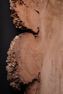 Elm Burr (W) 680mm x (D) 70mm x (L) 1.56m