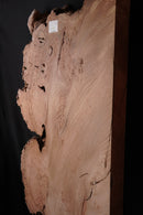 Elm Burr (W) 680mm x (D) 70mm x (L) 1.56m