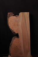 Elm Burr  (W) 400mm x (D) 75mm x (L) 0.85m