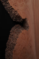 Elm Burr  (W) 400mm x (D) 75mm x (L) 0.85m