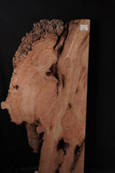 Elm Burr (W) 735mm x (D) 75mm x (L) 1.36m