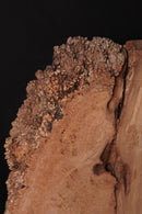 Elm Burr (W) 735mm x (D) 75mm x (L) 1.36m