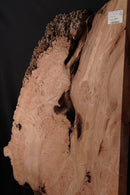 Elm Burr (W) 735mm x (D) 75mm x (L) 1.36m