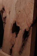 Elm Burr (W) 735mm x (D) 75mm x (L) 1.36m