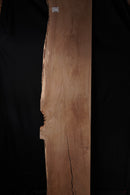 Spalted Oak (W) 510mm x (D) 20mm x (L) 2.5m
