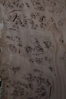 Burr Oak  (W) 360mm x (D) 73mm x (L) 0.85m