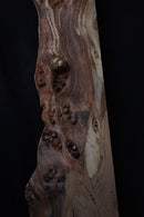 Elm (W) 200mm x (D) 90mm x (L) 1.2m