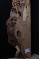 Elm (W) 200mm x (D) 90mm x (L) 1.2m