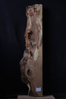 Elm (W) 200mm x (D) 90mm x (L) 1.2m