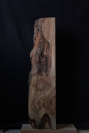 Pippy Spalted Oak (W) 220mm x (D) 85mm x (L) 0.9m