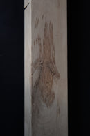 Oak (W) 150mm x (D) 75mm x (L) 1.21m