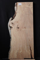 Spalted Beech  (W) 492mm x (D) 39mm x (L) 1.07m