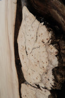 Chestnut (W) 300mm x (D) 76mm x (L) 0.89m