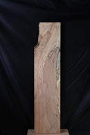 Spalted Beech (W) 280mm x (D) 35mm x (L) 1.19m