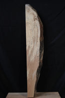 Spalted Beech (W) 153mm x (D) 54mm x (L) 0.75m