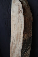 Spalted Beech (W) 153mm x (D) 54mm x (L) 0.75m