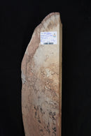 Spalted Beech (W) 153mm x (D) 54mm x (L) 0.75m
