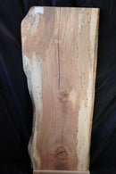 Spalted Beech (W) 500mm x (D) 50mm x (L) 1.28m