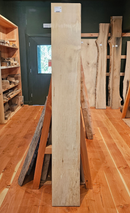 Sycamore 265 x 45 x 1.86