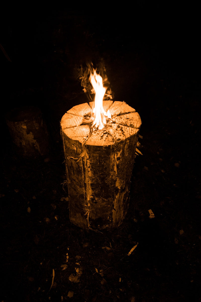 Fire Log