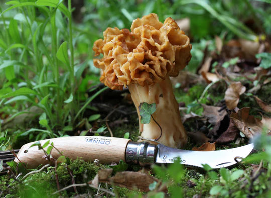 OPINEL No.8 Mushroom knife (8cm)