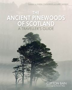 Ancient Pinewoods Of Scotland