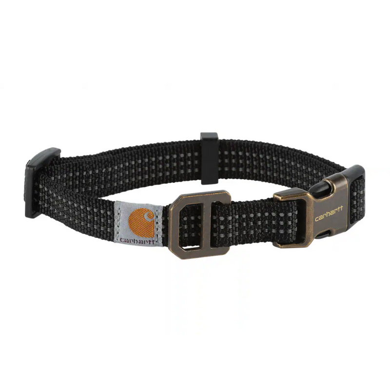 Dog Collar