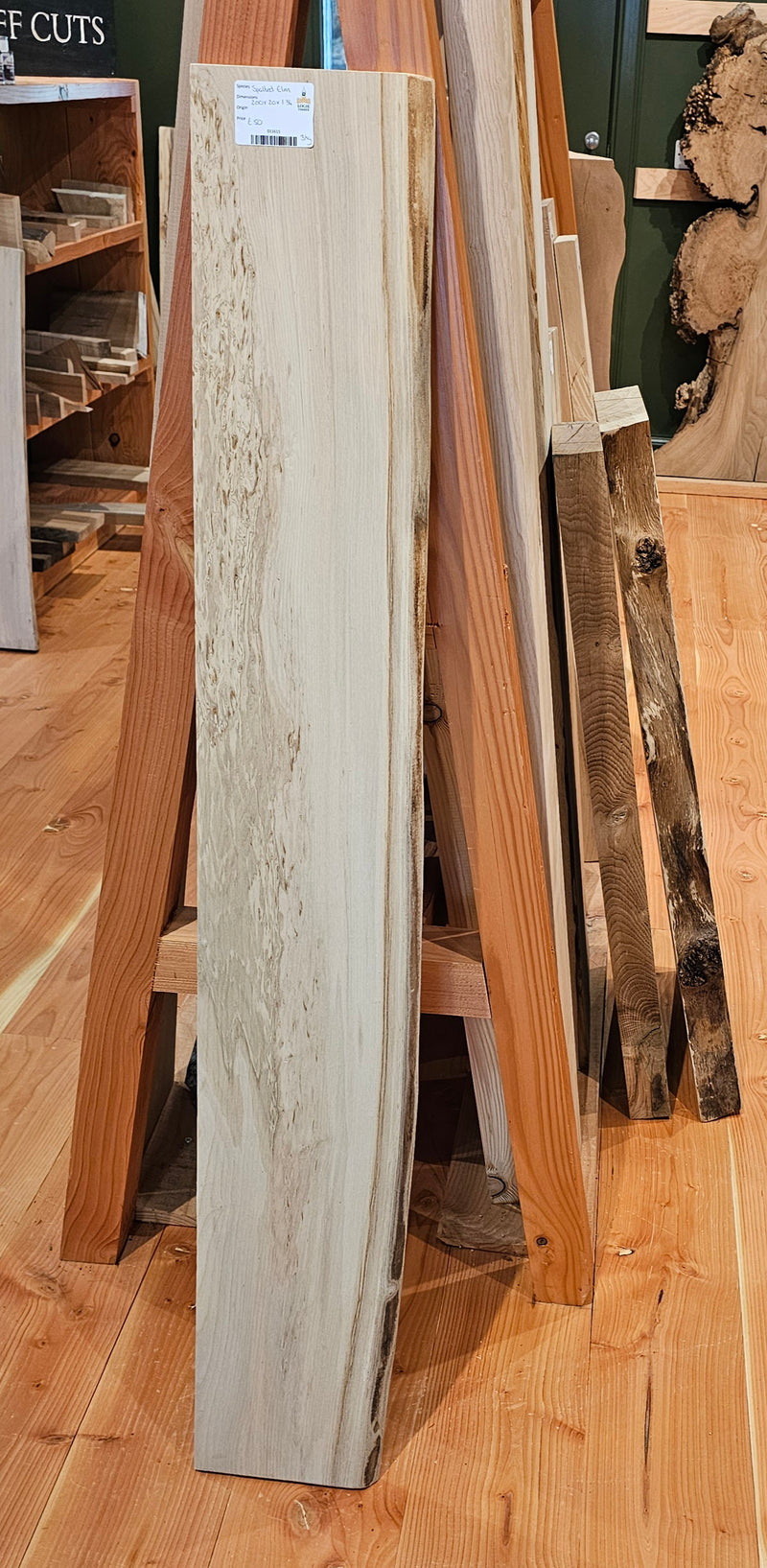 Spalted Elm 200 x 20 x 1.34