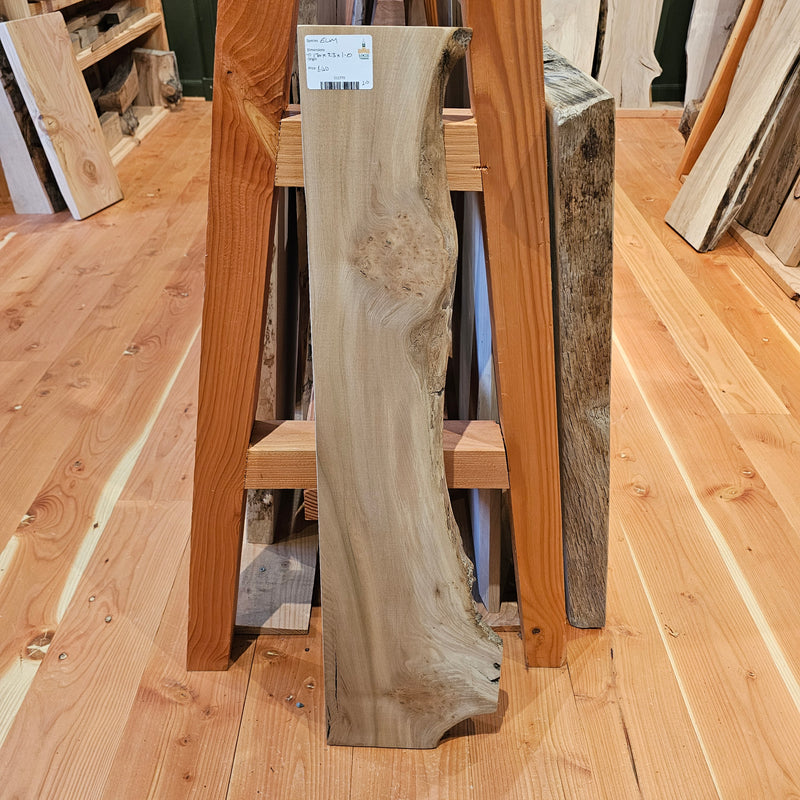Elm 170 x 23 x 1