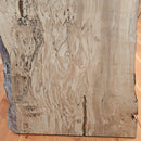 Spalted Beech (W) 630mm x (D) 38mm x (L) 0.92m