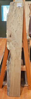 Spalted Beech
