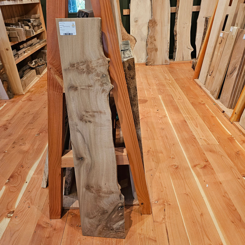 Elm 250 x 20 x 1.14