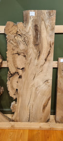 Elm Burr (W) 670mm x (D) 60mm x (L) 1.68m