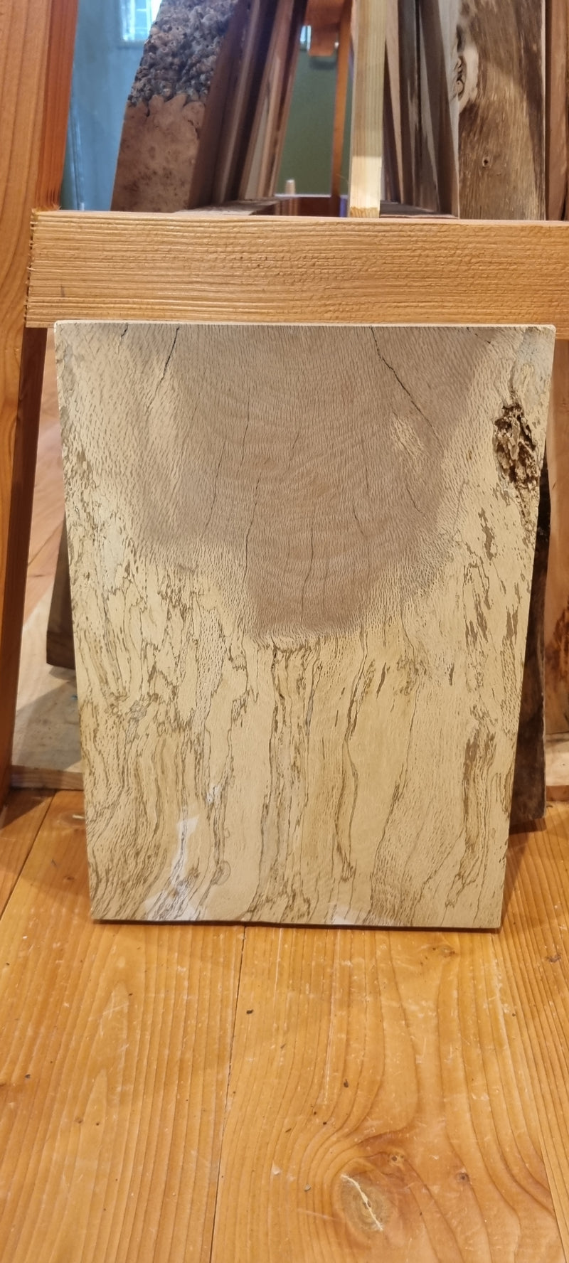 Spalted Elm 300 x 50 x 0.42