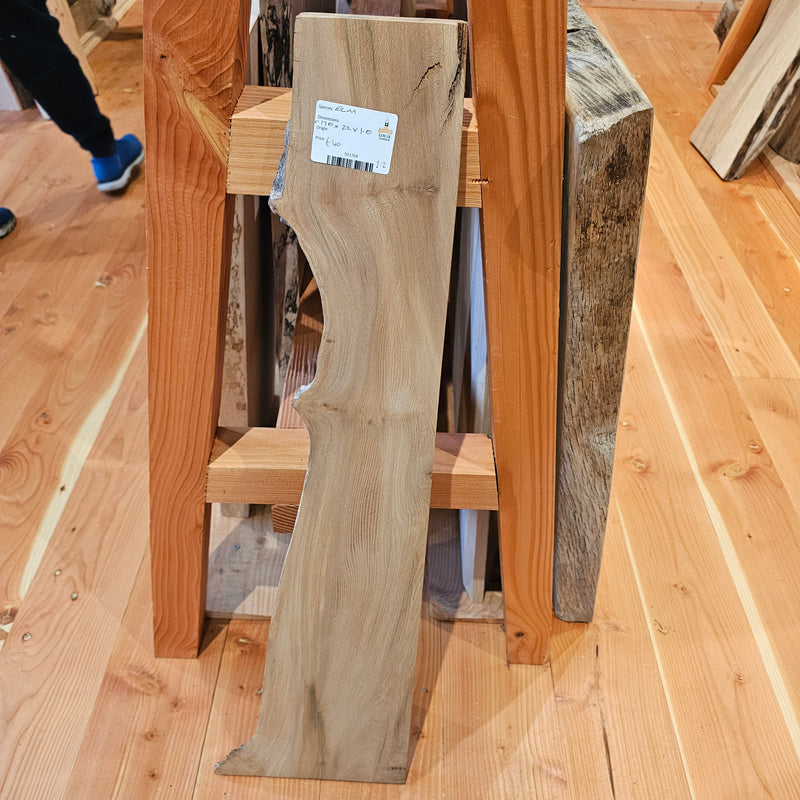 Elm 170 x 22 x 1